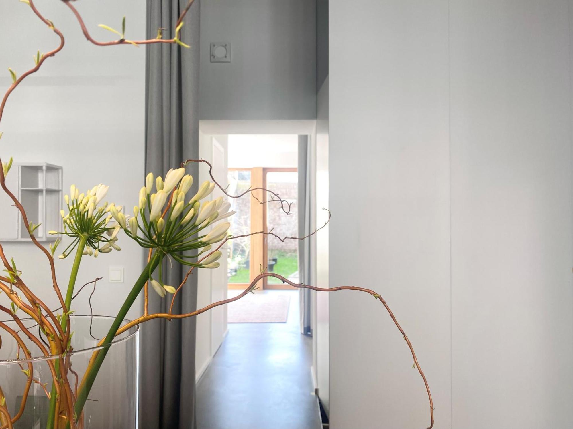 Zehuus Gartenstudio Mit Terrasse Cologne Exterior photo